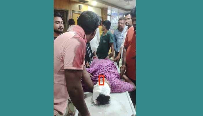 ঘরে ঢুকে ছুরিকাঘাত,আ.লীগ নেতার মায়ের মৃত্যু