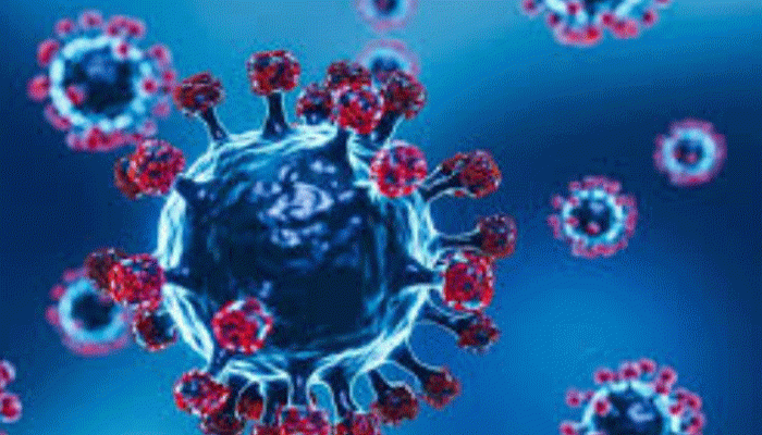 করোনায় আরও একজনের মৃত্যু, শনাক্ত ৮