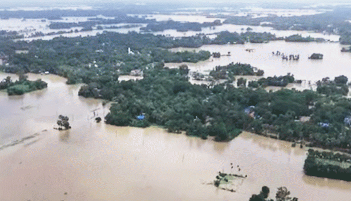 ফেনীতে বন্যায় ভেসে গেছে ৫ কোটি টাকার মাছ