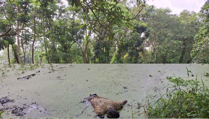 পাখি ধরতে গিয়ে ৩দিন পর পুকুরে মিলল মাদরাসা ছাত্রের লাশ,আটক-১ পাখি ধরতে গিয়ে ৩দিন পর পুকুরে মিলল মাদরাসা ছাত্রের লাশ,আটক-১