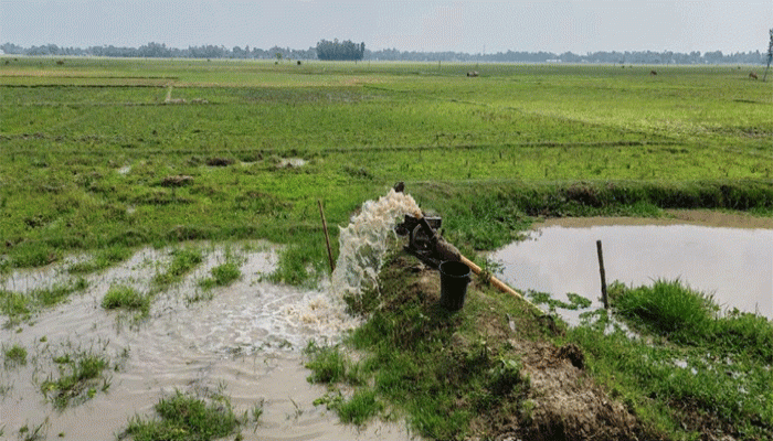 ফুলবাড়ীতে খরায় জমিতে ফাটল, বৃষ্টির প্রহর গুণছেন কৃষকরা