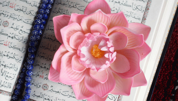 মহানবী (সা.)-এর দুধ মা ছিলেন যে দুই নারী সাহাবি মহানবী (সা.)-এর দুধ মা ছিলেন যে দুই নারী সাহাবি