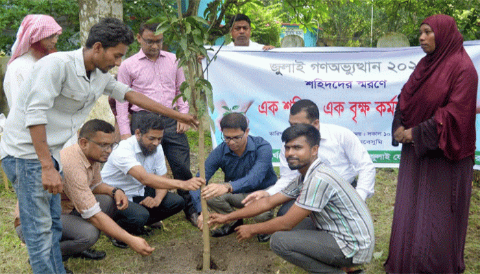 লালপুরে জুলাই শহীদদের স্মরণে এক শহিদ, এক বৃক্ষ রোপণ কর্মসূচি পালন
