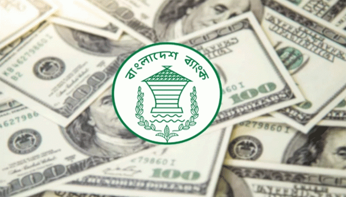 জুলাইয়ের ৩ সপ্তাহে রেমিট্যান্স এলো ১৭০ কোটি ডলার