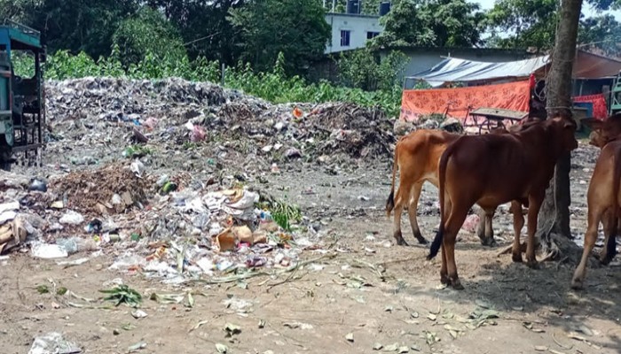 তানোরে পশুহাটে ময়লার ভাগাড় জনমনে ক্ষোভ