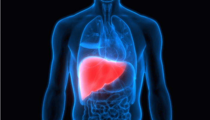 লিভারের সমস্যা হলে বদলে যাবে স্কিন, কোন কোন উপসর্গ দেখে সতর্ক হবেন