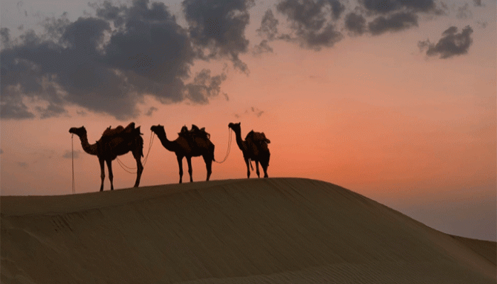 মক্কা বিজয়ের পর নবীজি যাদের ক্ষমা করেননি