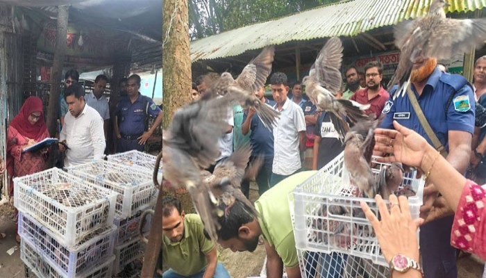 দেখ ভাল কাজ কত সহজেই করা যায়, বাঘা উপজেলা নির্বাহী অফিসার শাম্মি আক্তার