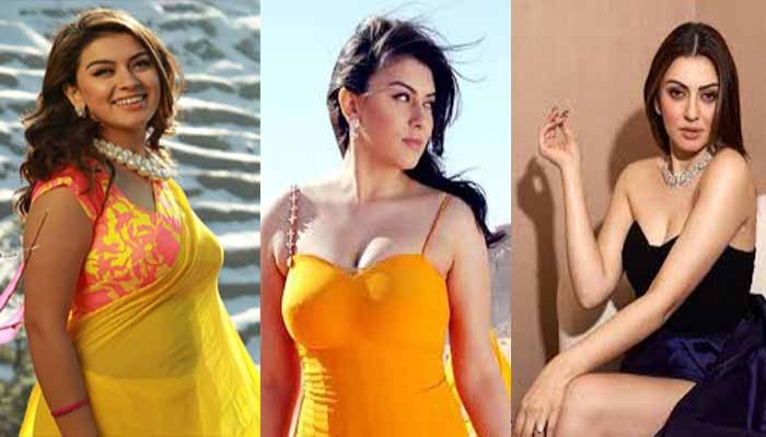 বান্ধবীর স্বামীকে বিয়ে করে আফসোস বলিউড নায়িকা হনসিকার