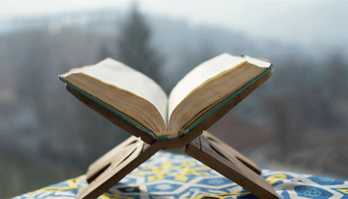 আল্লাহ্‌র চোখে দাউদ (আঃ)-এর প্রশংসনীয় গুণাবলী