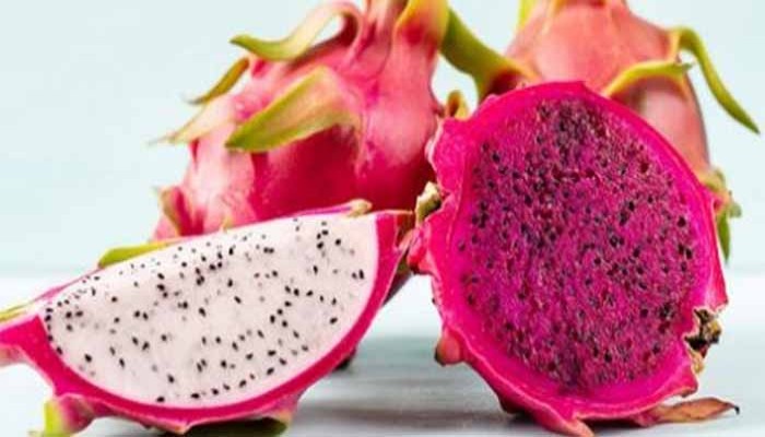 ড্রাগনফলের ৫ সতর্কতা ড্রাগনফলের ৫ সতর্কতা