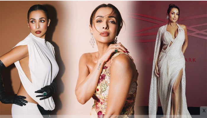 মালাইকাকে‘বুড়ি’ বলে কটাক্ষ