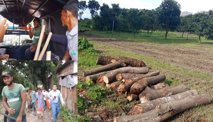 রামেবি’তে গাছ কাটার সময় হাতেনাতে ৩ শ্রমিক আটক, ধরা ছোয়ার বাইরে মূলহোতা দেলোয়ার রামেবি’তে গাছ কাটার সময় হাতেনাতে ৩ শ্রমিক আটক, ধরা ছোয়ার বাইরে মূলহোতা দেলোয়ার