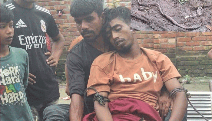 আত্রাইয়ে বিষধর সাপে কামড়ে যুবকের করুণ মৃত্যু