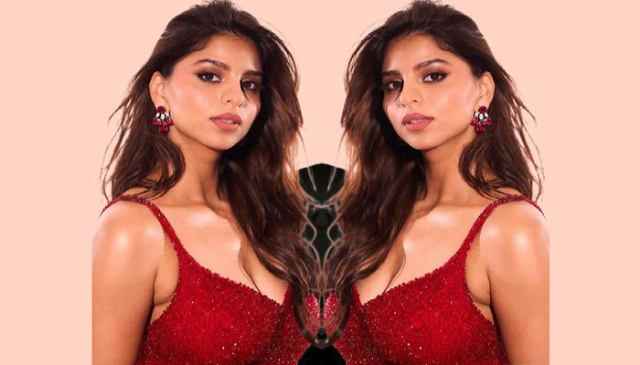 অভিনয়কেই পেশা হিসেবে বেছে নিয়েছেন সুহানা