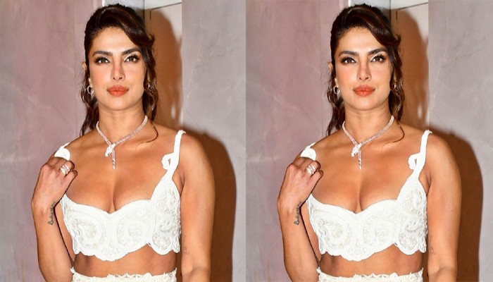 প্রিয়ঙ্কা চোপড়ার রহস্যময় ইনস্টাগ্রাম পোস্টে জল্পনা তুঙ্গে