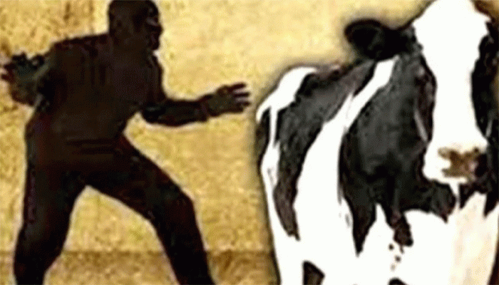 রাণীনগরে তালা কেটে খামার থেকে গরু-মহিষ চুরি