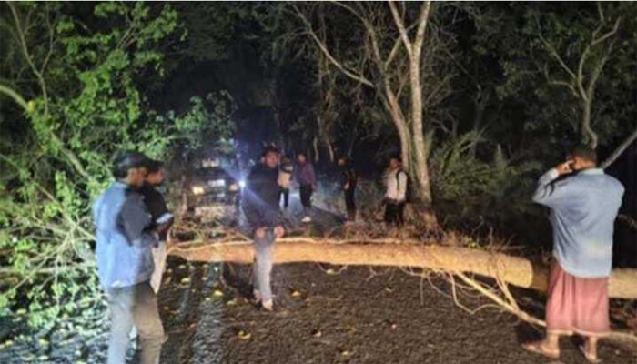 সড়কে গাছ ফেলে মাইক্রোবাসে ডাকাতি, আতঙ্কে স্থানীয়রা