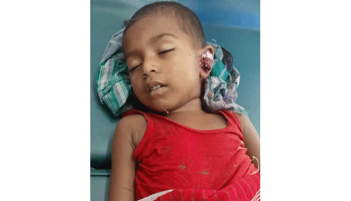 নাচোলে ট্রেনের ধাক্কায় দুই বছরের শিশুর মৃত্যু নাচোলে ট্রেনের ধাক্কায় দুই বছরের শিশুর মৃত্যু