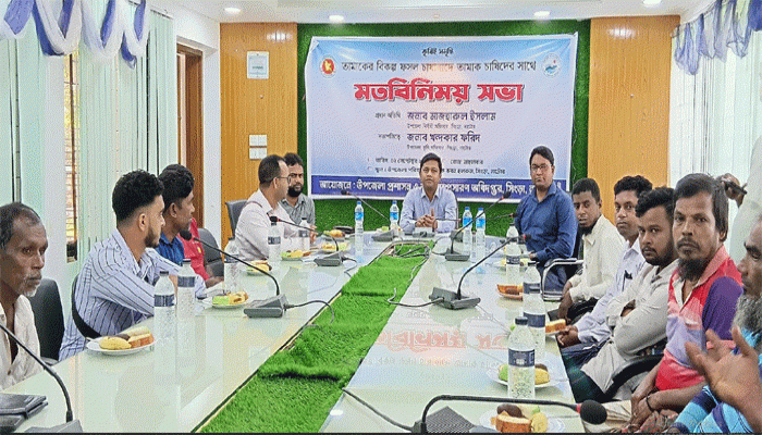 সিংড়ায় তামাকের বিকল্প ফসল চাষে মতবিনিময় সভা সিংড়ায় তামাকের বিকল্প ফসল চাষে মতবিনিময় সভা