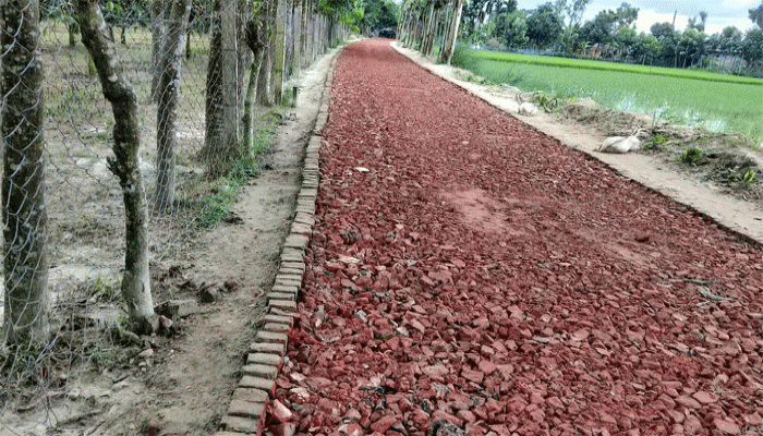 রাণীশংকৈলে সরকারি খাস জমি রেখে মালিকানা জমিতে রাস্তা পাকা করণের অভিযোগ