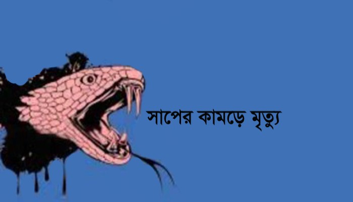 ভিমরুলের কামড়ে শিশুর মৃত্যু ভিমরুলের কামড়ে শিশুর মৃত্যু
