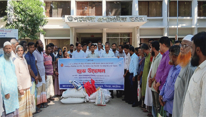 সিংড়ায় শীতকালীন সবজি বীজ বিতরণ সিংড়ায় শীতকালীন সবজি বীজ বিতরণ