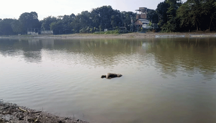 নদীতে মিলল একাধিক মামলার আসামীর লাশ নদীতে মিলল একাধিক মামলার আসামীর লাশ