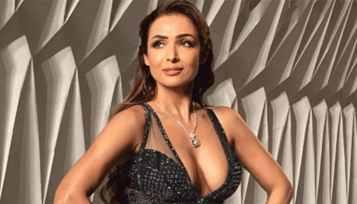 পছন্দের পুরুষ কেমন চুম্বন করবেন, তা-ও জানান মলাইকা