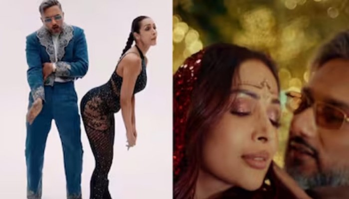 হানির সঙ্গে মালাইকার নাচকে ‘অশ্লীল’ তকমা