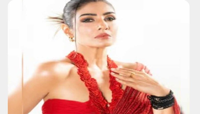 বিবাহিত প্রযোজকের সঙ্গে থাকলে মিলবে হাতখরচ! কেন বার বার হোটেলের ঘর বদলাতেন রবীনা?