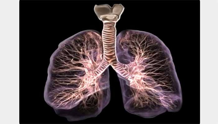 ফুসফুসের হাল কেমন, ধরা পড়বে মাত্র ১ মিনিটের পরীক্ষায়, ঘরে বসেই জেনে নিন