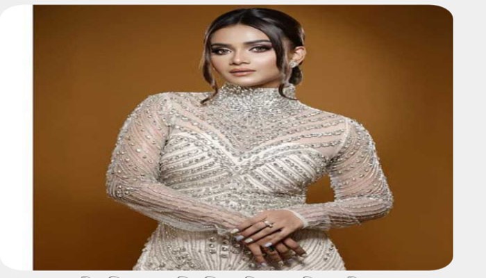 তানজিন তিশার বিরুদ্ধে টাকা আত্মসাতের অভিযোগ!