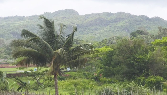 খেলার মাঠ থেকে ৬ শিশু অপহরণ