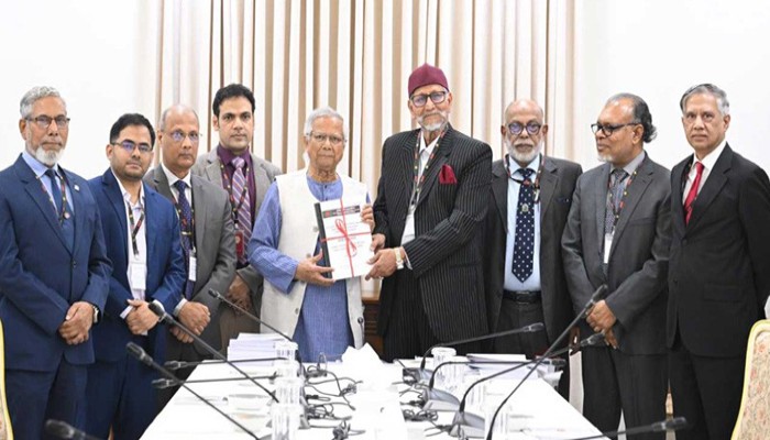 বিডিআর হত্যাকাণ্ডে দলগতভাবে জড়িত আ.লীগ, মূল সমন্বয়কারী তাপস : কমিশন