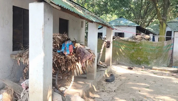বরাদ্দ পেয়েছেন বাড়ির মালিক বেশির ভাগ ঘর ভাড়া, বিক্রি