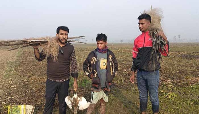 সিংড়ায় ৫ শালিক পাখি অবমুক্ত  করলো পরিবেশ কর্মীরা