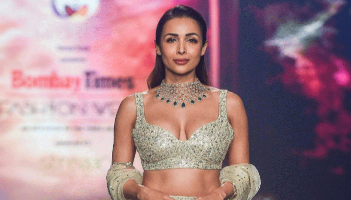 বিচ্ছেদের পর নারী কমবয়সি পুরুষকে বিয়ে করলে দোষ!: মালাইকা