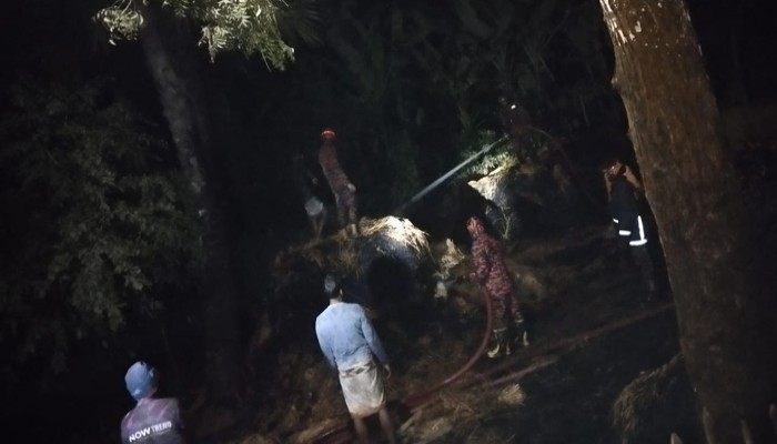 নিয়ামতপুরে দুর্বৃত্তর আগুনে পুড়লো কৃষকের ধানের গাদা