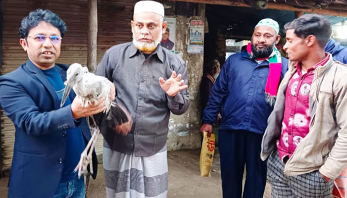 রাজশাহীতে শিশুর ফাঁদে ধরা অতিথি পাখি উদ্ধার; সরকারি কর্মকর্তার উদ্যোগে ফিরলো মুক্ত আকাশে
