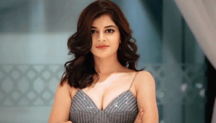 মধুমিতা সরকার বিয়ে করছেন নতুন বছর