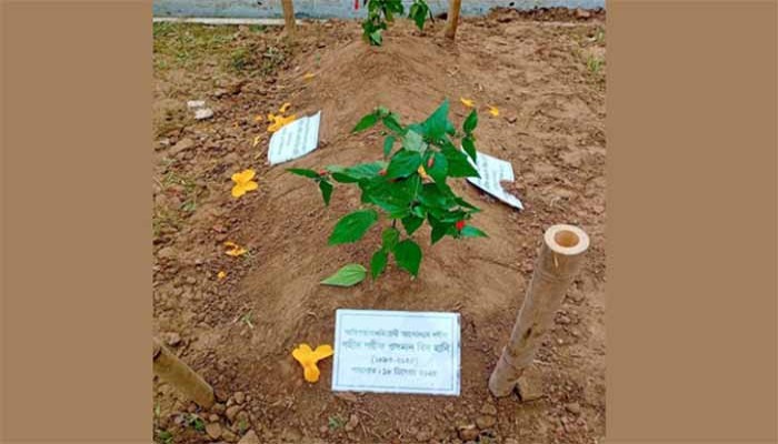 যা লেখা আছে শহীদ হাদির এপিটাফে