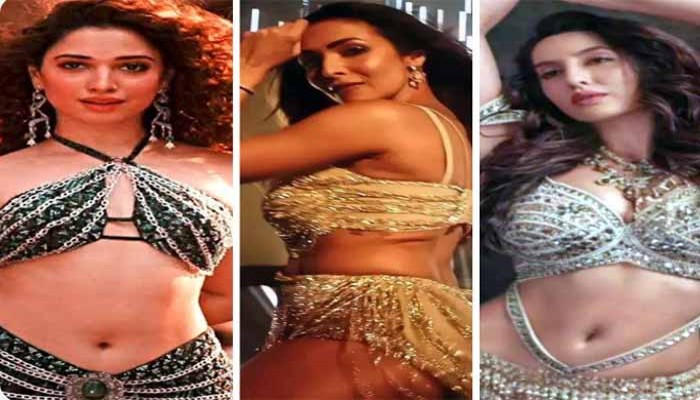 আইটেম গানে নেচে ৬ কোটি টাকা পারিশ্রমিক তমন্নার! মলাইকা-সহ এই ৮ নায়িকা কত টাকা নেন?
