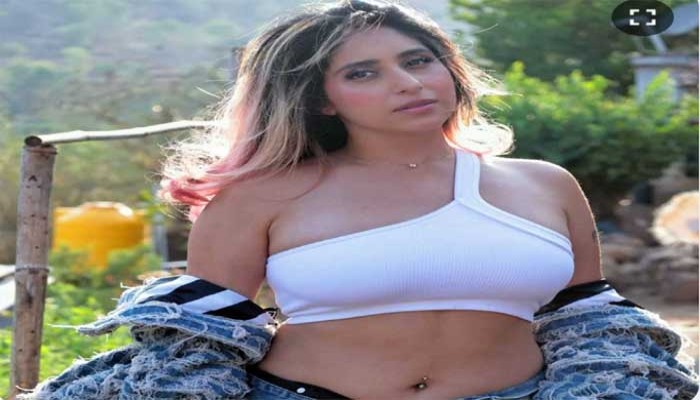 বিয়ের প্রায় ৯ বছর পরেও নিঃসন্তান নেহা ভসীন, কী কারণে সন্তানে অনীহা?