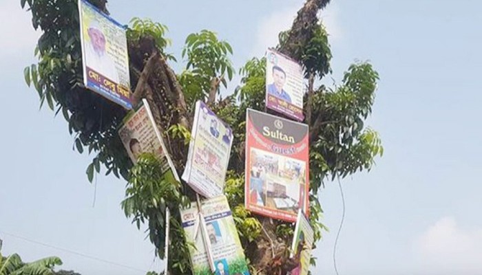 গাছে পেরেক লাগালে জরিমানা, নতুন অধ্যাদেশ জারি