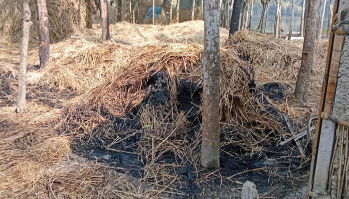 রাণীনগরে ১০টি খড়ের পালায় দুর্বৃত্তের আগুন