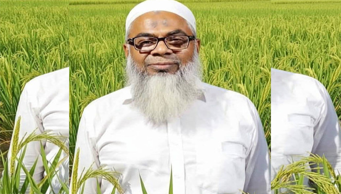 মহানগর বিএনপি’র সভাপতি মামুনুর রশিদের নেতৃত্বে দল সুসংগঠিত ও শক্তিশালী অবস্থানে: নেতাকর্মীরা