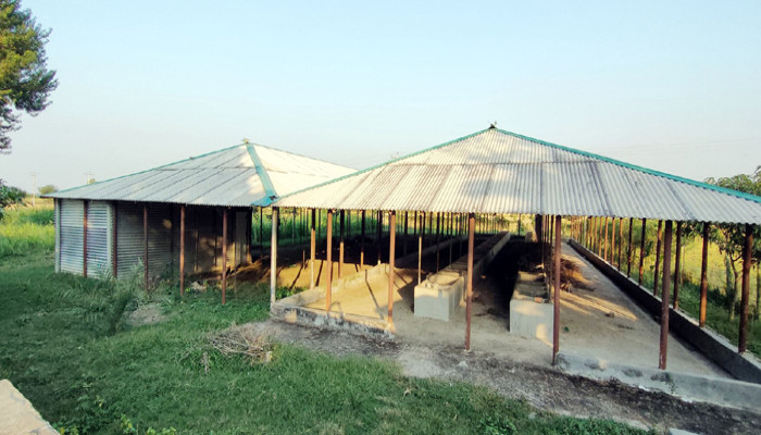 রাণীনগরে চরমপন্থীদের কোটি টাকার প্রকল্প এখন ‘ভূতের বাড়ি’