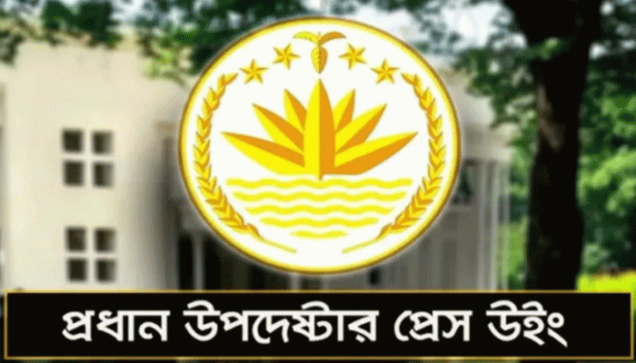 ‘হ্যাঁ’ ভোটে সরকারের অবস্থান, যা জানাল প্রেস উইং