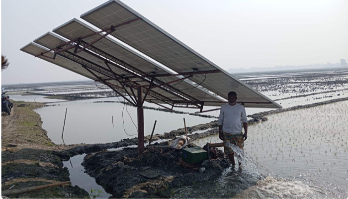 নাটোরের নলডাঙ্গা হালতি বিলে সোলার পাম্পে ইরিচাষ পদ্ধতি চালু